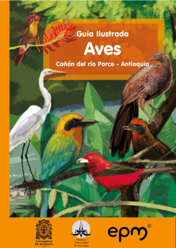 Guía-Ilustrada-Aves-Cañon-del-Río-Porce-Antioquía